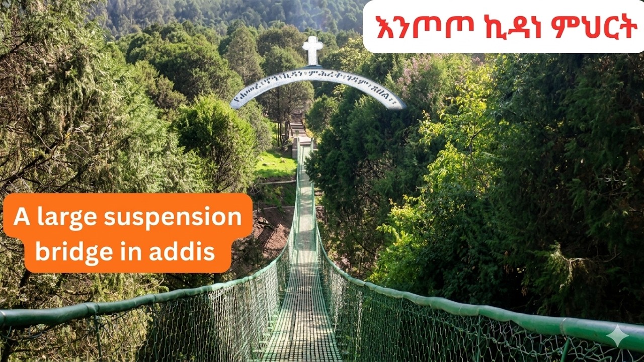 🔴THE LARGEST DENSE EREA IN ADDISIS ENTOTO  walk and talk Ethiopia