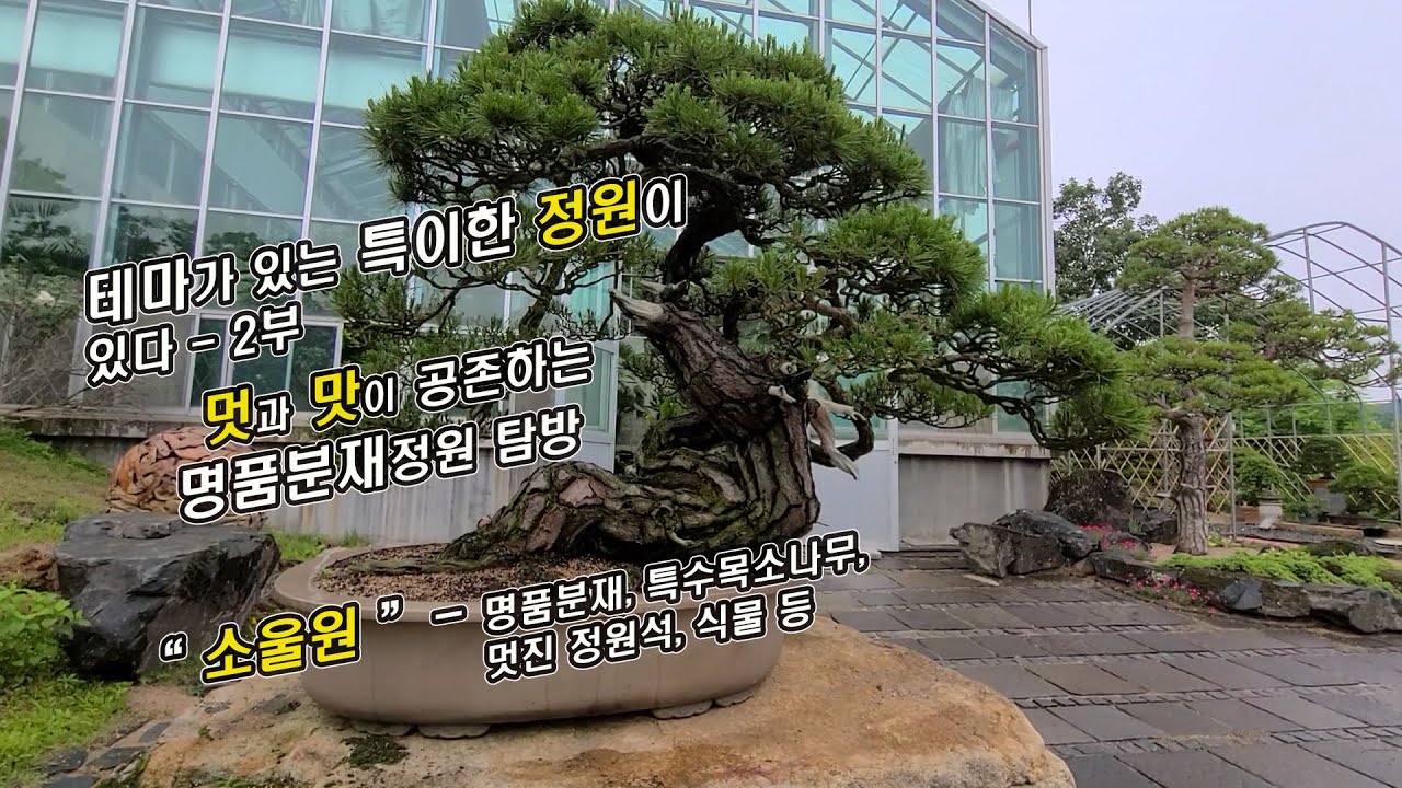 BUNJAE(분재)#52_분재 덕후가 혼을 담아 만든 힐링동산_테마가 있는 특별한 정원_파주 소울원_영혼이 맑아지는 공간_ 알기쉬운 분재와 조경_초보분재탈출-2부