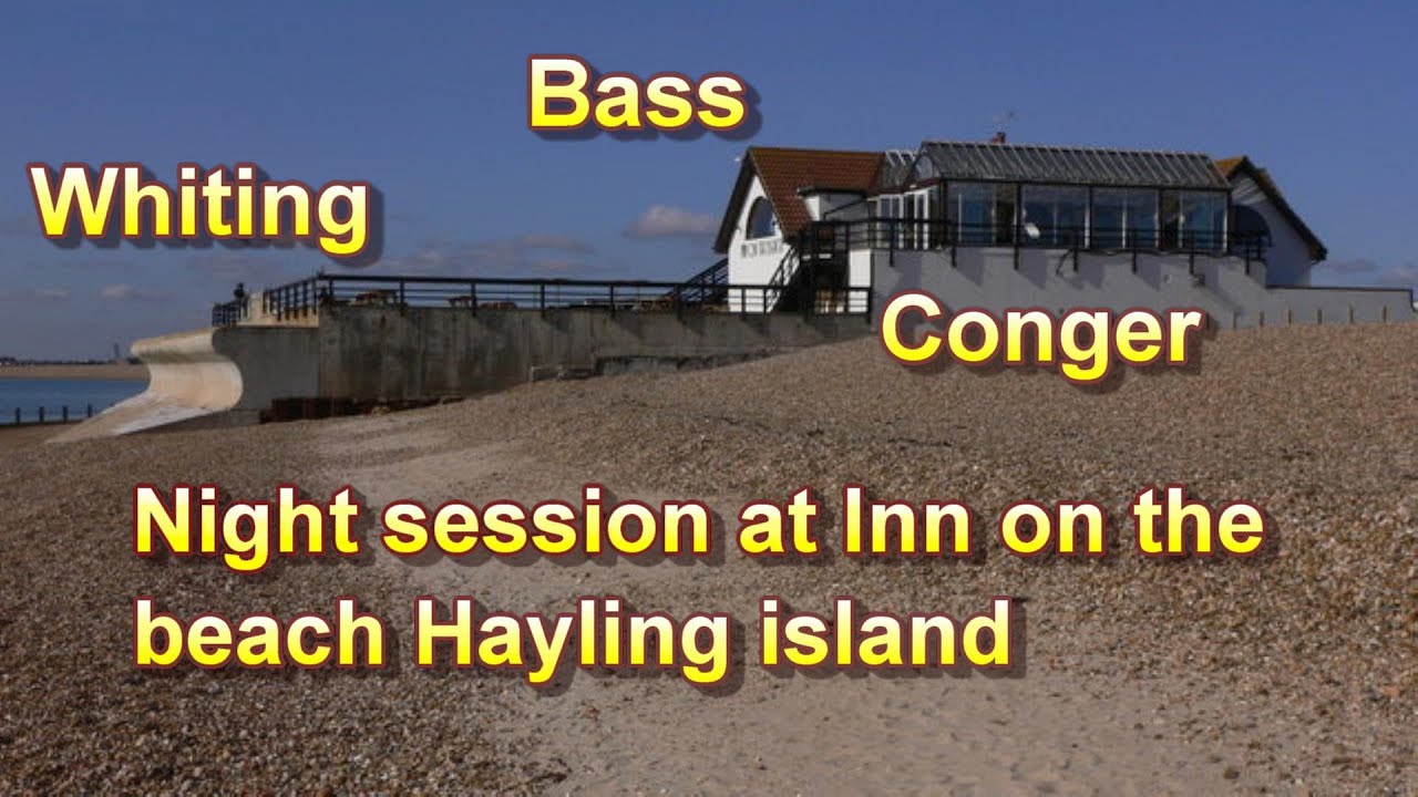 Hayling island whiting, conger, and Bass