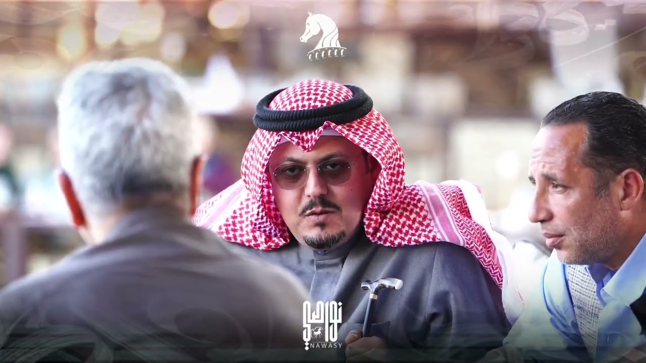 بطولة كتارا لـ جمال الخيل العربيه ( تايتل شو )