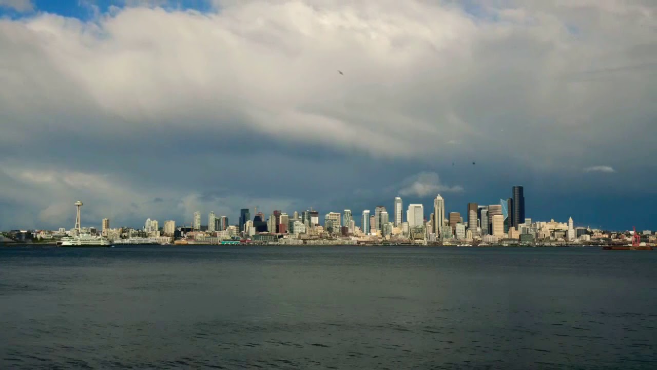 A minute of Seattle Zen