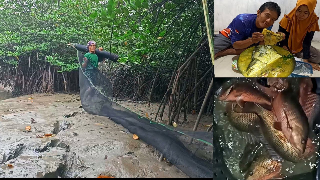 Pasang Perangkap Dapat Banyak Kakap Merah  Dan Bermalam diguyur Hujan Dan Petir Langsung Masak
