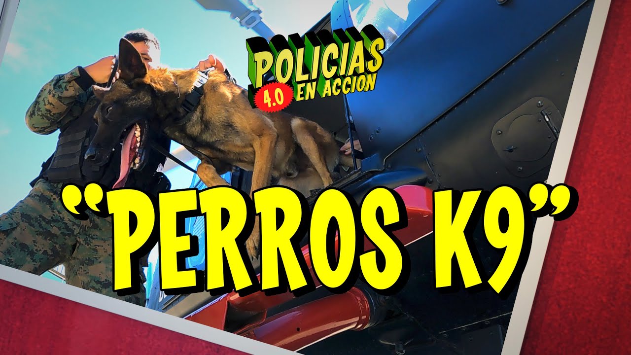 POLICÍAS EN ACCIÓN 4.0 - ESPECIAL  