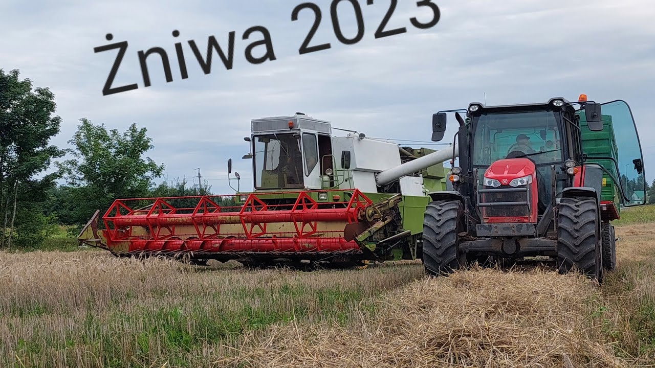 Żniwa  pszenżyta  ozimego  Fortschrittem e517 🚜🚜🚜#farming #automobile #farm #agriculture