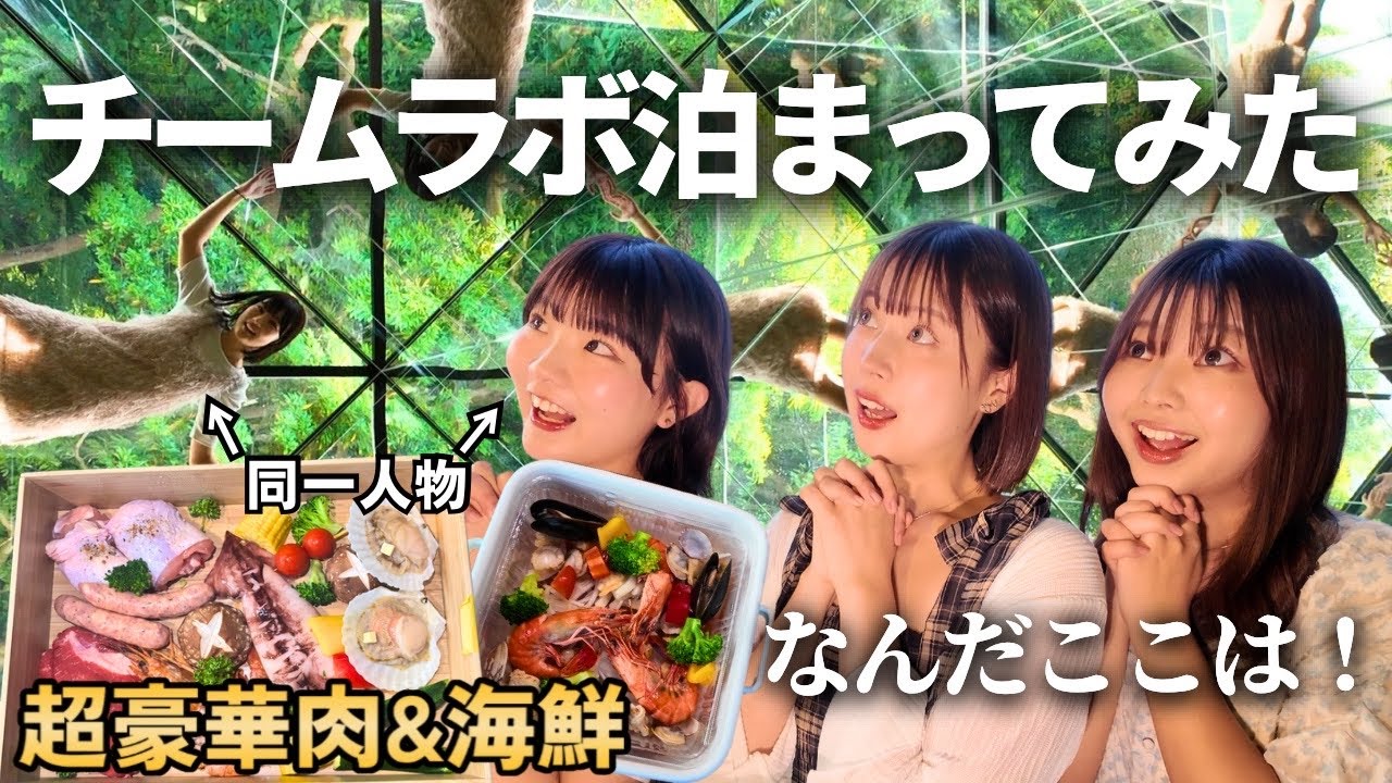 【日本初】泊まれるチームラボが想像以上すぎた…！