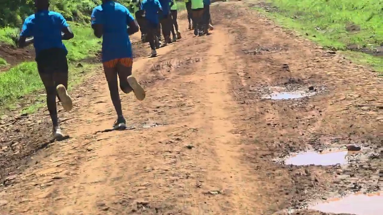 Determination and hardworking
