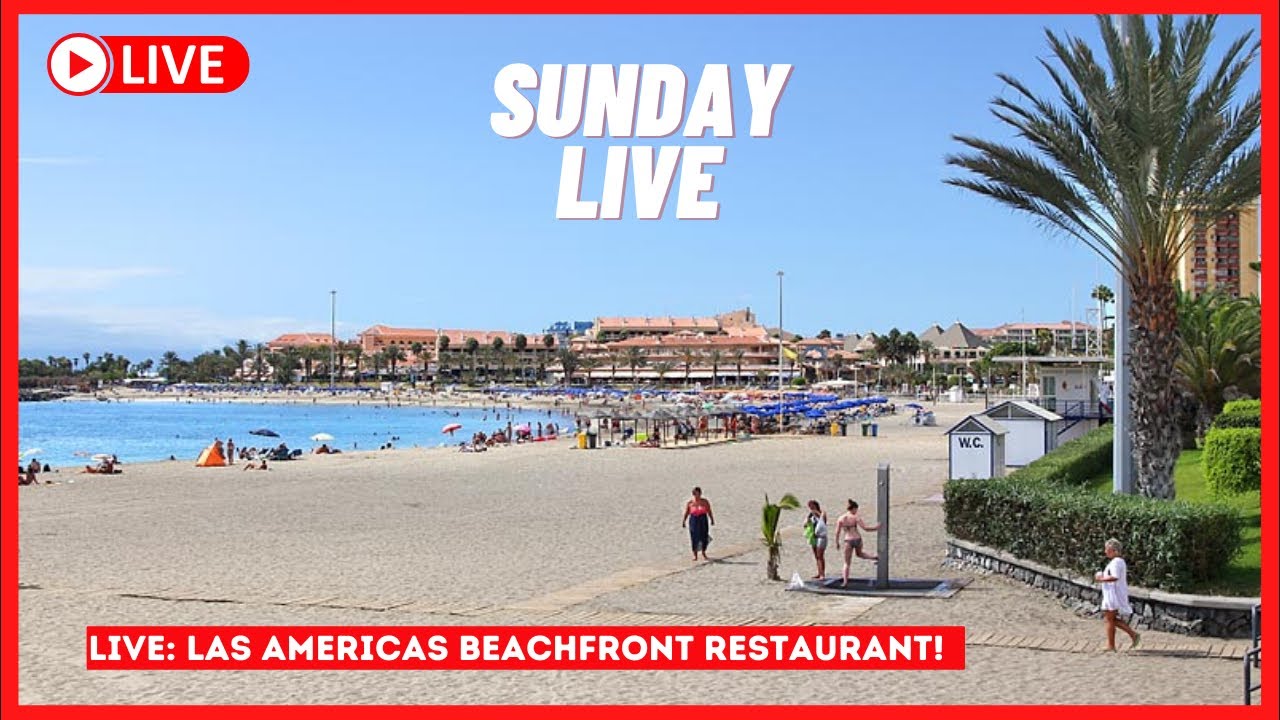 🔴LIVE: Four Seasons Restaurant in Las Americas Tenerife ☀️ Canary Islands