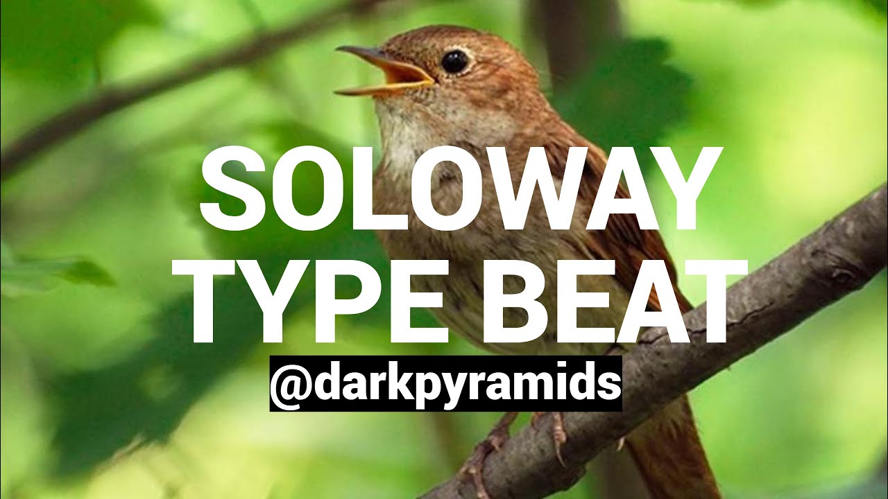 soloway type beat - chirik (@darkpyramids)