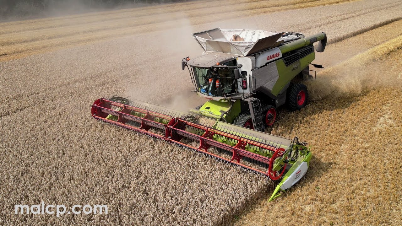 Harvest 2021 - Hillfair Farm's Claas Lexion 7700TT with 1080 Convio header cutting wheat
