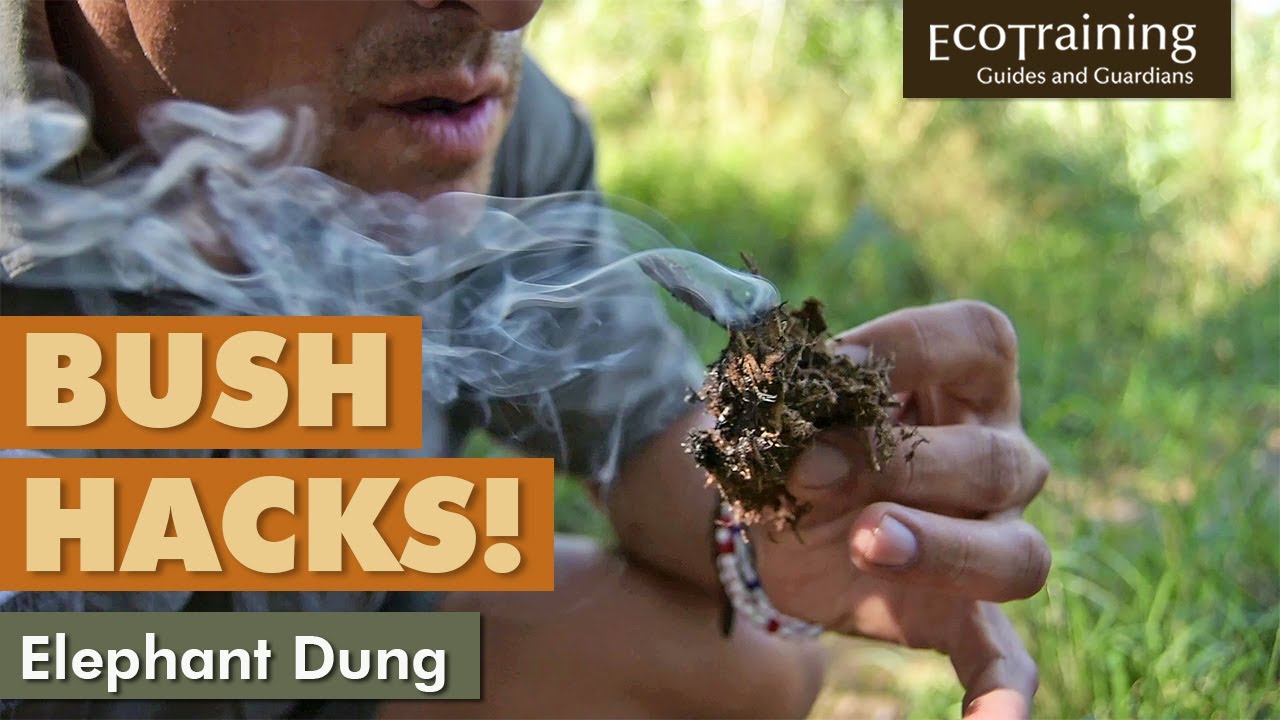 Bush Hacks | Elephant Dung
