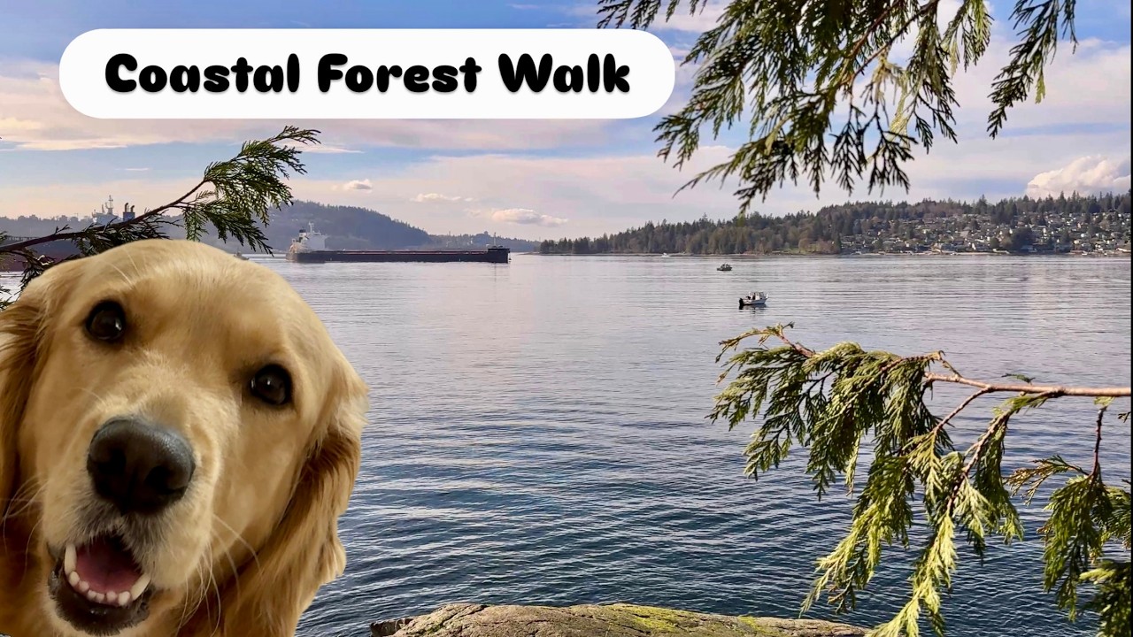Forest, Ocean, and a Golden Retriever | Cod Rock, BC