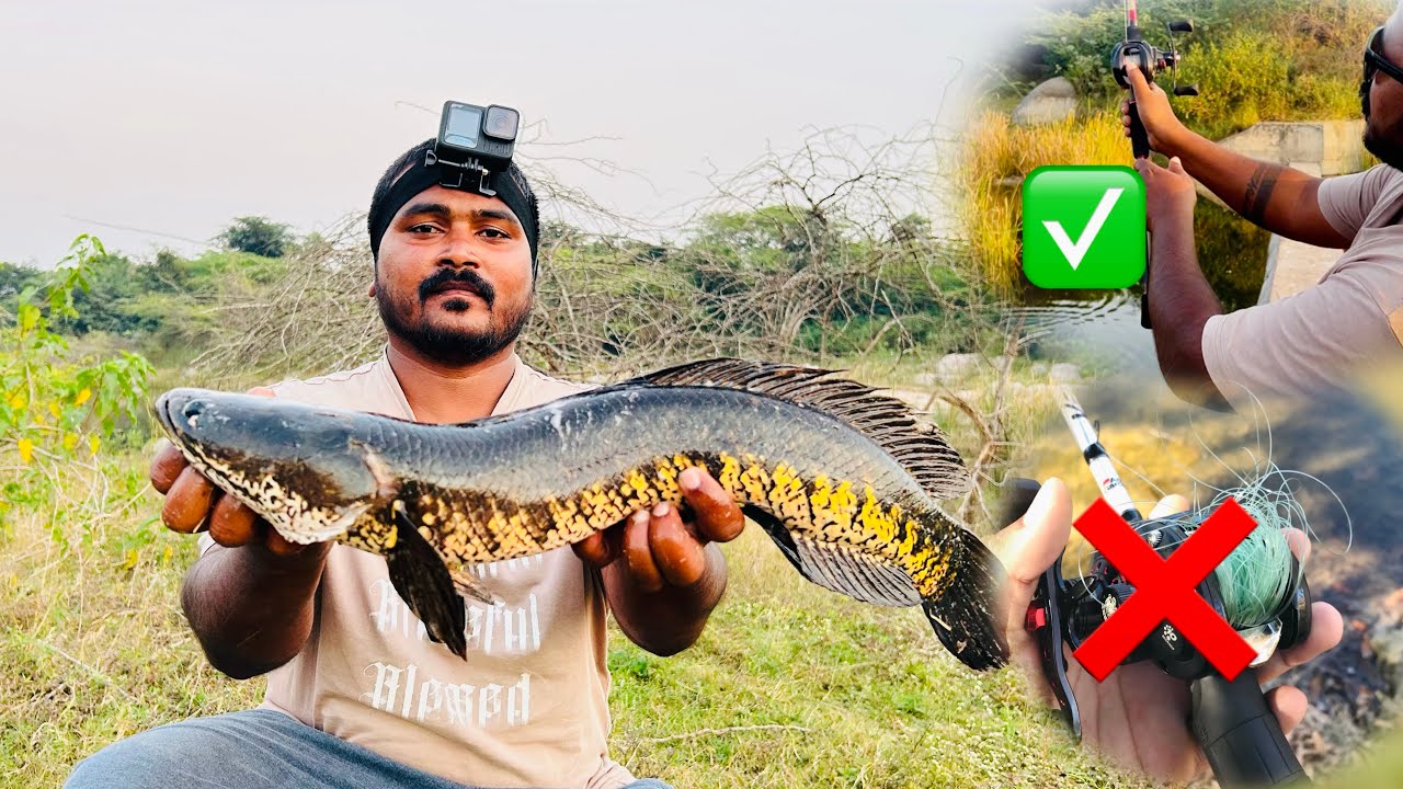 baitcasting reel కొత్తగా వాడేవారికి సెటప్ చేసే విధానం 🤩#how to setup baitcasting reel for beginners 