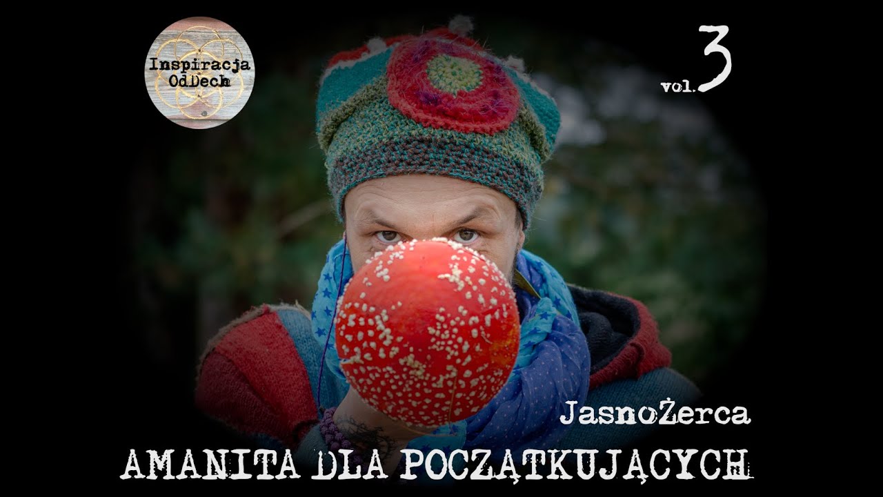 Amanita muscaria dla początkujących vol.3 - JasnoŻerca