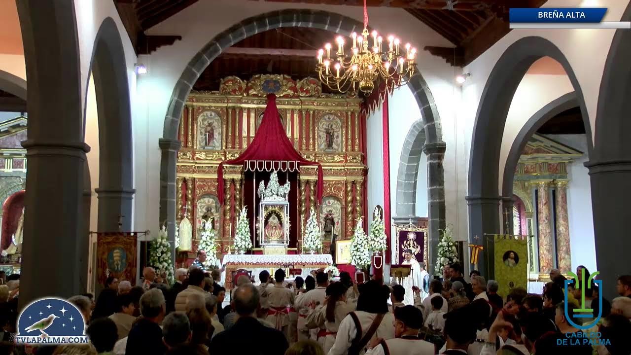 📺 TV La Palma en directo acompañando todo el recorrido de la Virgen de las Nieves