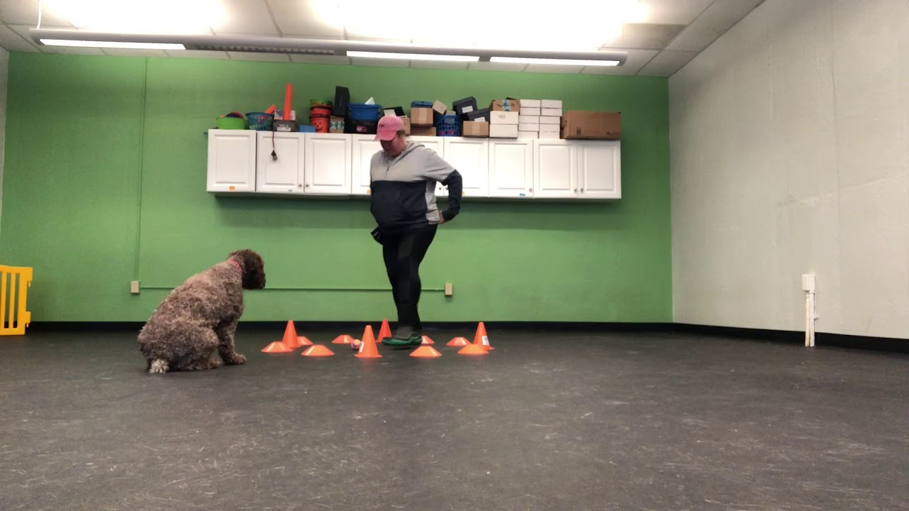 The Herding Game