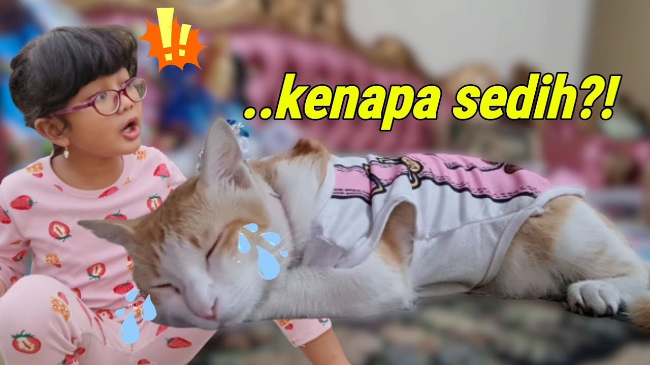 Kucing Hanum | Kucing Marco Sedih Banget, Hiks.. Minta Apa sih? | Miss Cemplon