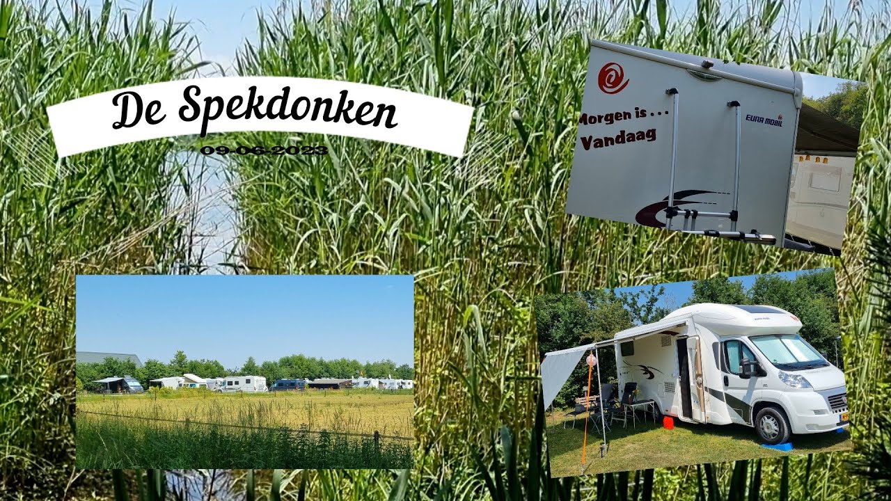 Spekdonken jun i 2023