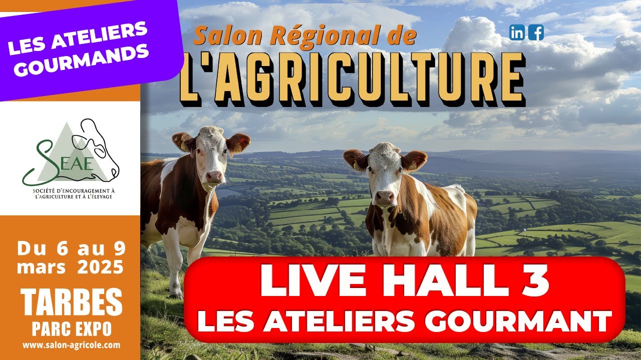 Raviole au Porc Noir de Bigorre et fromage de brebis - ATELIERS GOURMANDS HALL 3