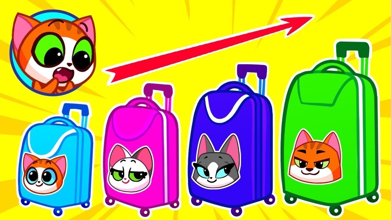 ⭐️ Where Is My Luggage? ⭐️ Cat Family Travel Safety Rules