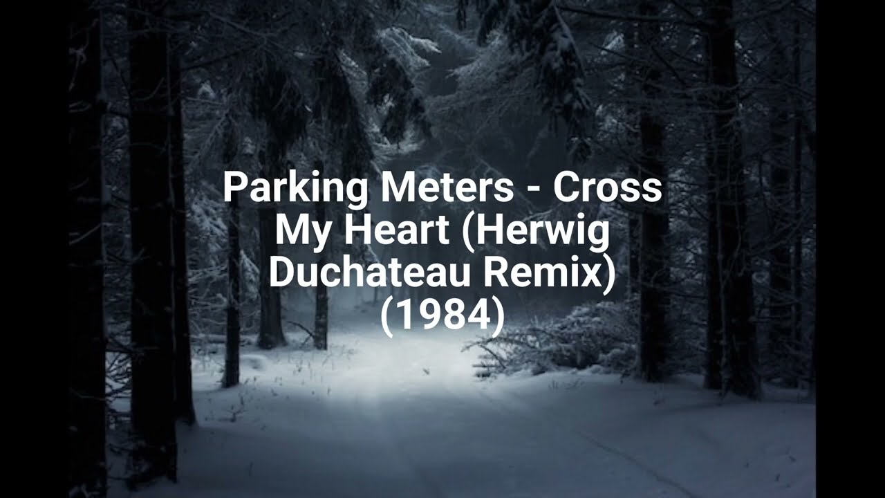 Parking Meters - Cross My Heart (Herwig Duchateau Remix) (1984)