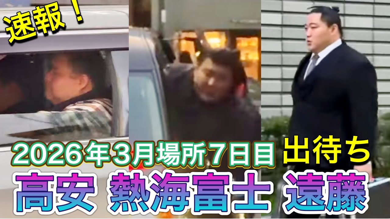速報❗️大阪場所7日目出待ち 大栄翔 竜翔 美ノ海 熱海富士 遠藤【大相撲令和8年3月場所】2026/3/14 ※少しだけ安青錦 霧島 琴櫻 平戸海