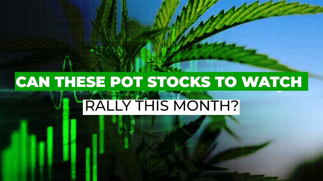 Can These Pot Stocks to Watch Rally This Month?