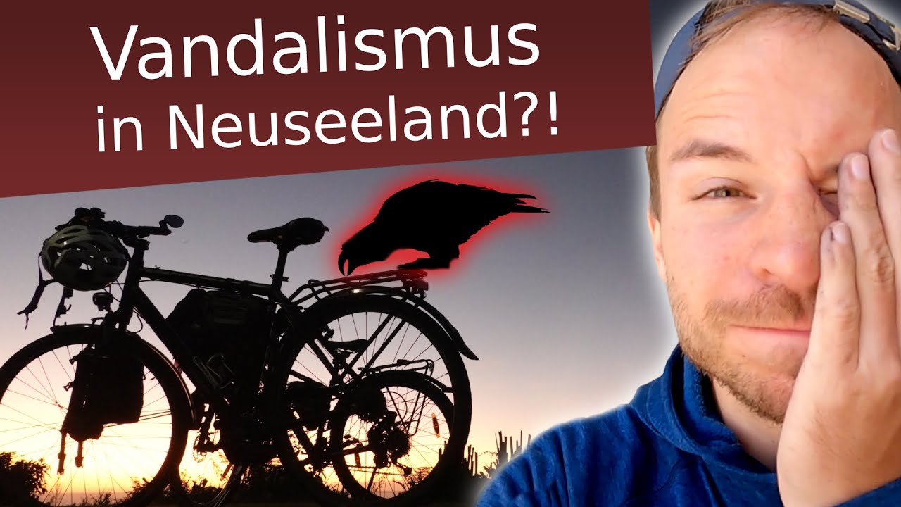 Neuseelands schlauster Vogel greift Fahrräder an?  - Vollzeitnomaden 018