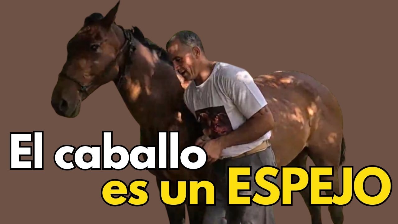 El Caballo ESPEJO de tus Emociones | Cómo Crear Conexión y Calma en la Preparación