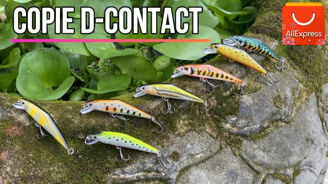 copie du D-CONTACT avec un poisson inattendu au bout de ma ligne
