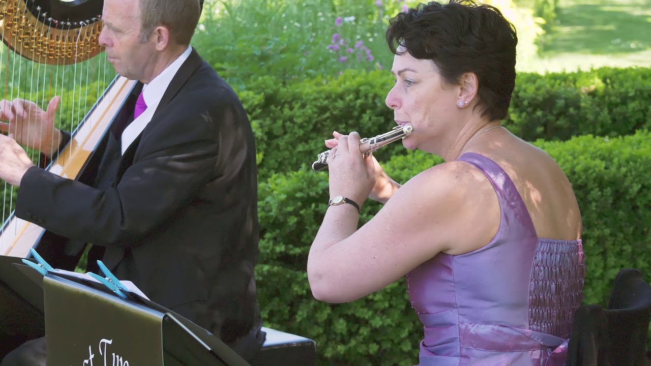Just Two Flute and Harp Duo