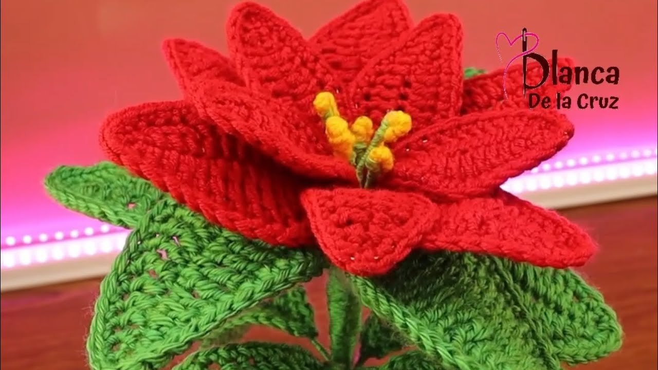 Wow🧶‼️TEJI FLORES NAVIDEÑAS FÁCIL Y RAPIDO🎅🤩NOCHEBUENAS👌 #crochet #knitting #handmade