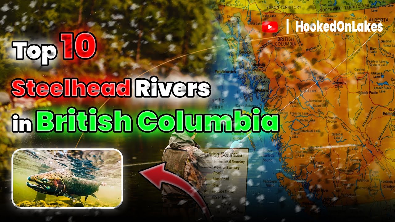 Top 10 Steelhead  Rivers in British Columbia