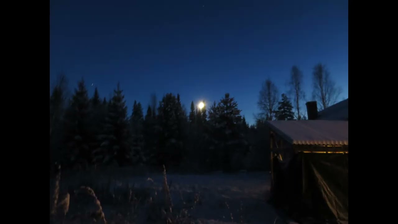 Halleluja, jag vill ha Dig!