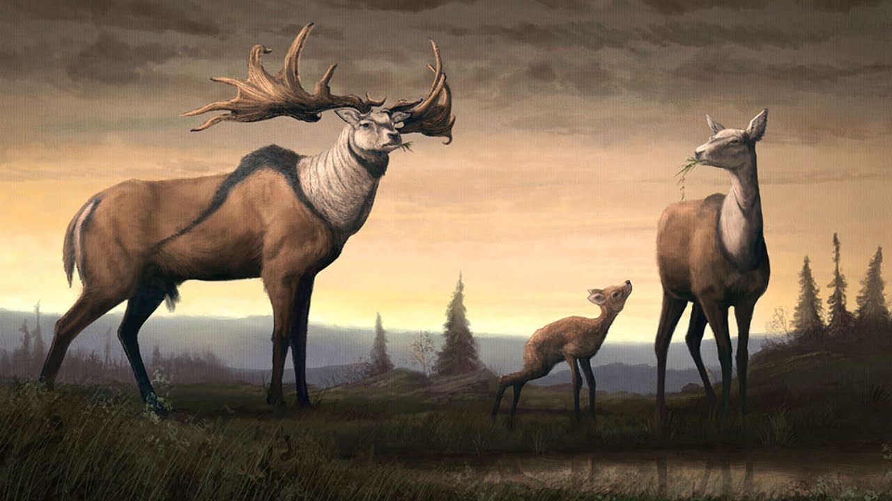 Megaloceros: Giant Deer of Ice Age Eurasia