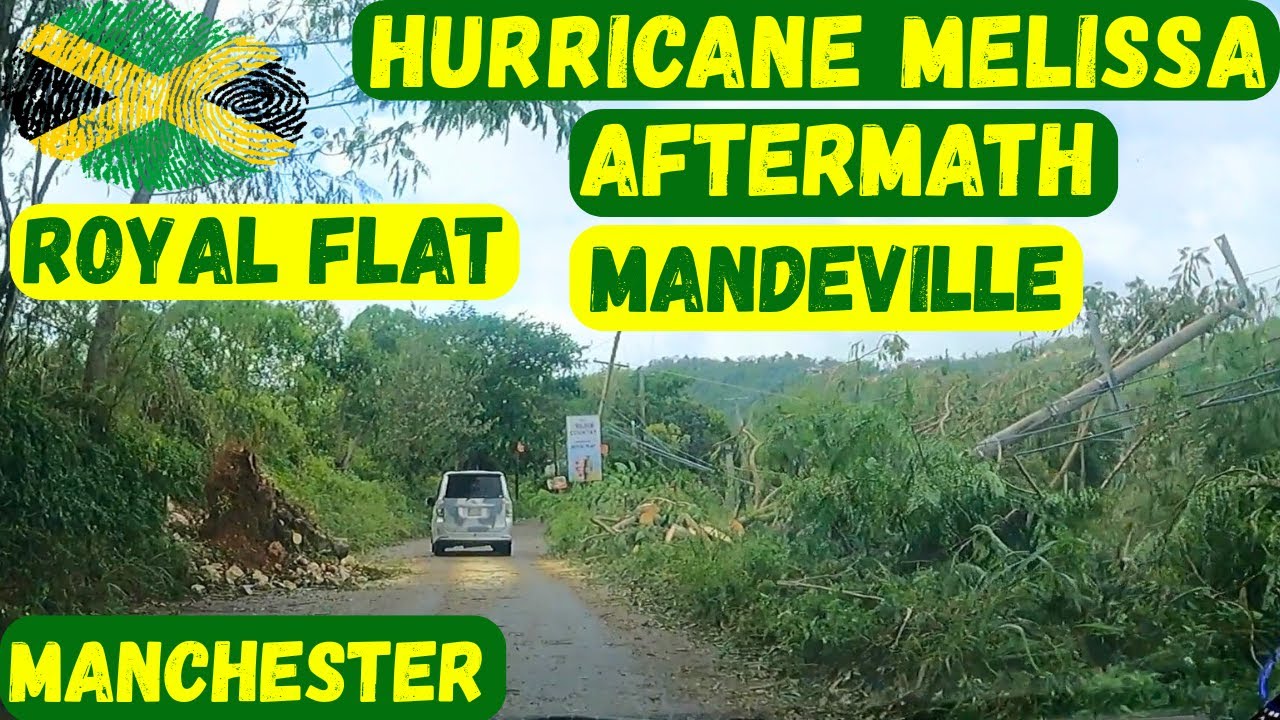 HURRICANE MELISSA AFTERMATH | ROYAL FLAT | MANDEVILLE | MANCHESTER | DAMAGE & DESTRUCTION | #jamaica