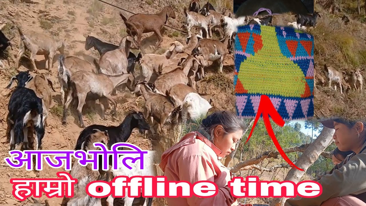 आज भोलिको हाम्रो duty yasto xa  new business start vayo haii 