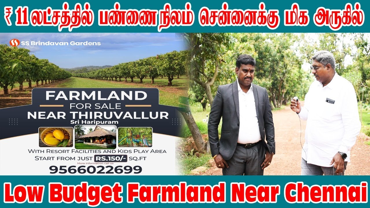 Farm Land For Sale ₹11 Lakhs மட்டுமே - Farm Land For Sale Near Chennai | Teak Mango Trees & Resort