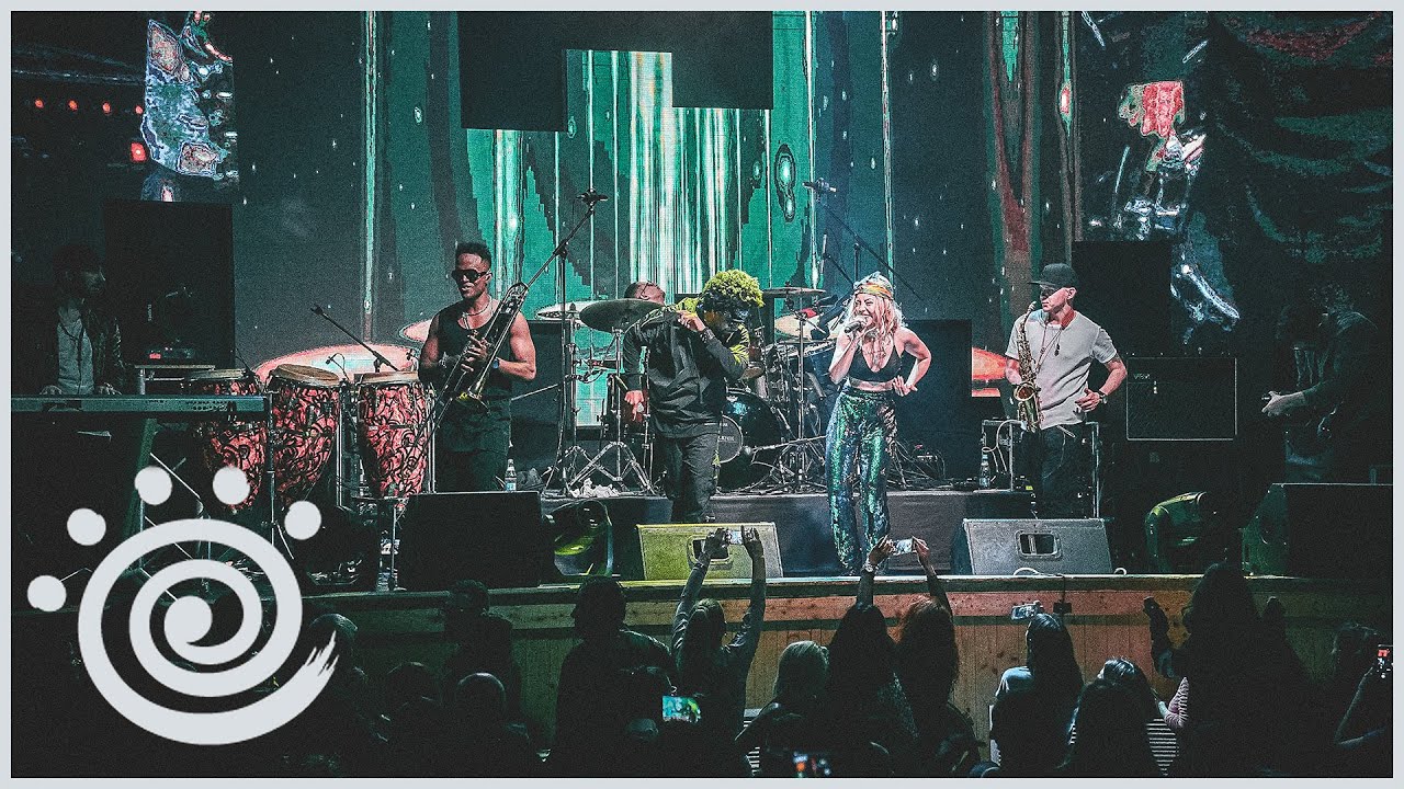 🎉 Mandinga în Concert 💥 Muzica Buna dar mai ales LIVE la Beraria H