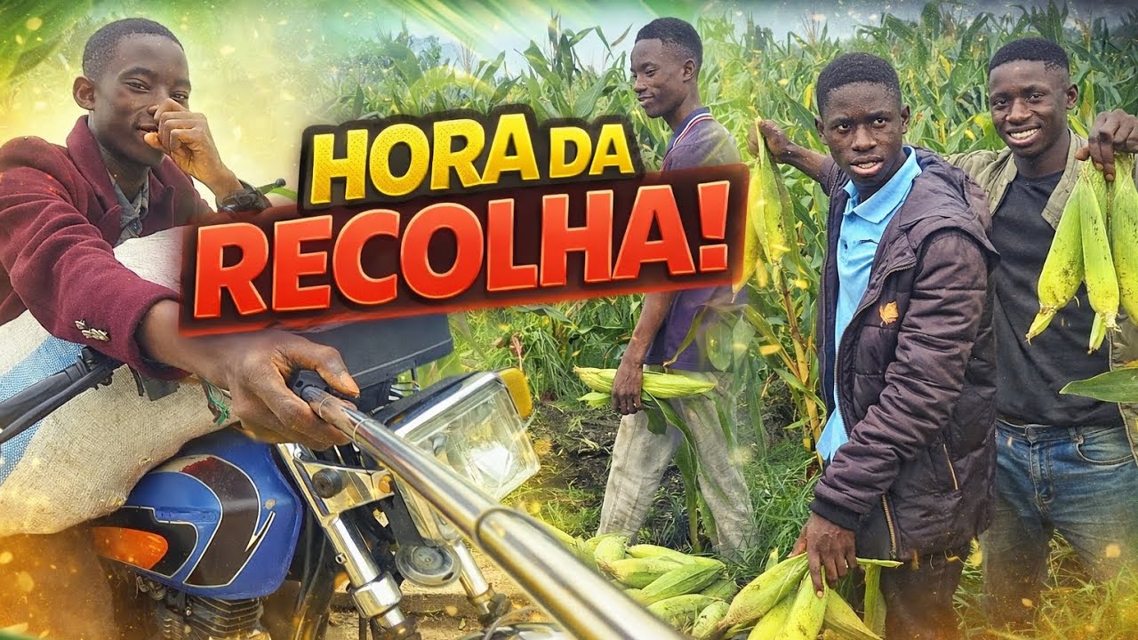 💪 TRABALHO DURO, RESULTADO REAL | RECOLHA