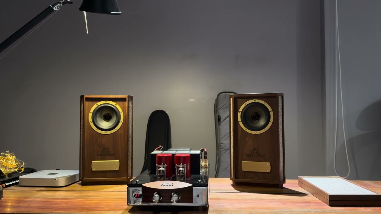 Tannoy Autograph mini & amply Pathos MKIII