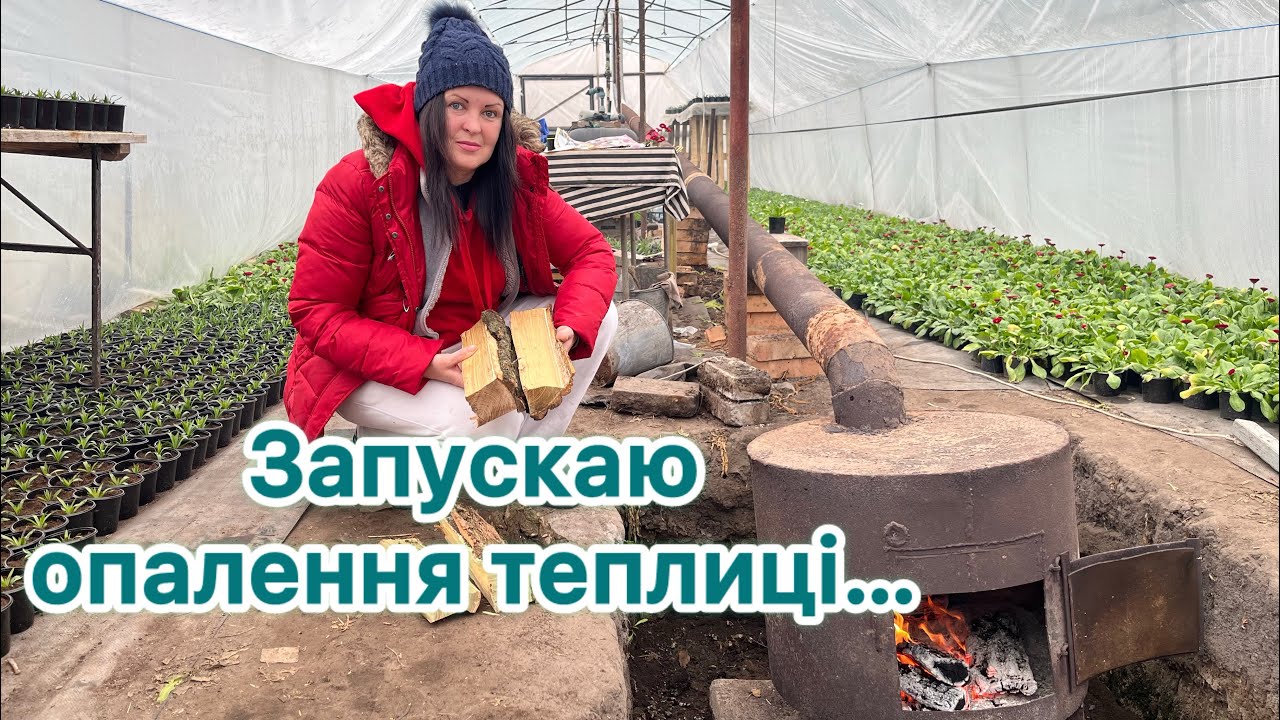 Запускаю опалення теплиці…