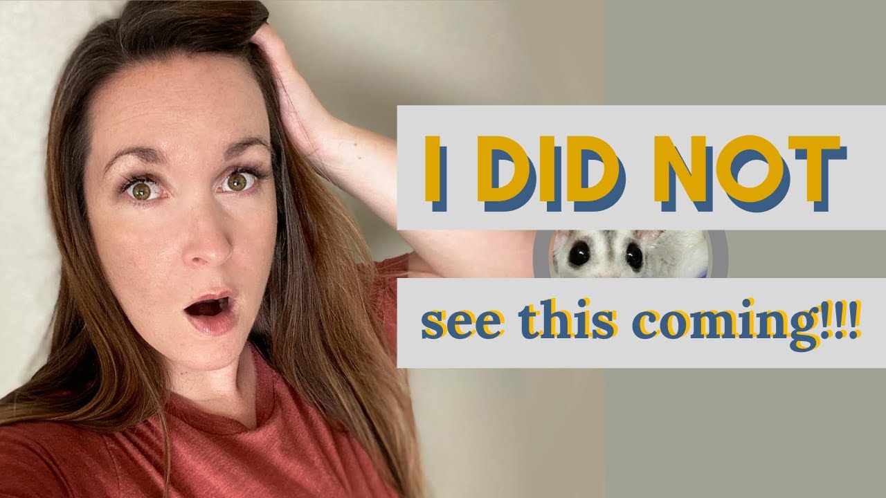 SURPRISE!!! | Sugar Glider Re-home | 18 HOUR ROAD TRIP