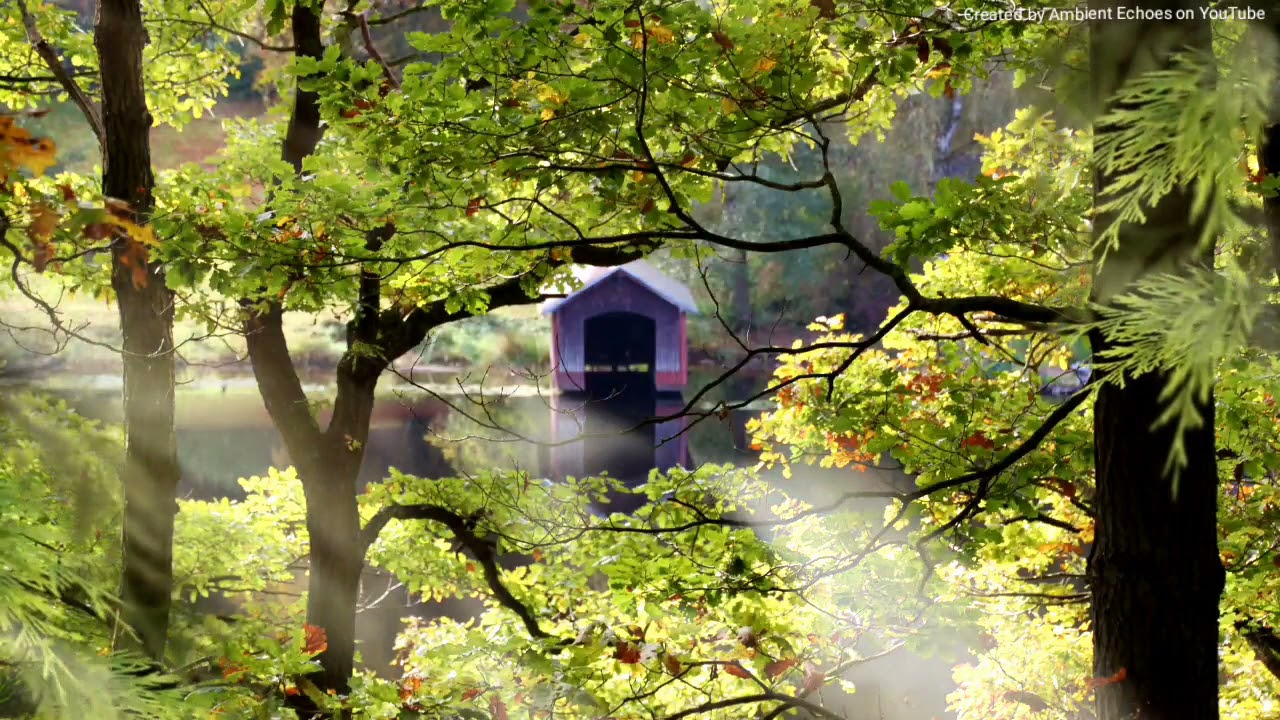 Fishing At The Boat House | 2 hours fishing ambience, nature sounds