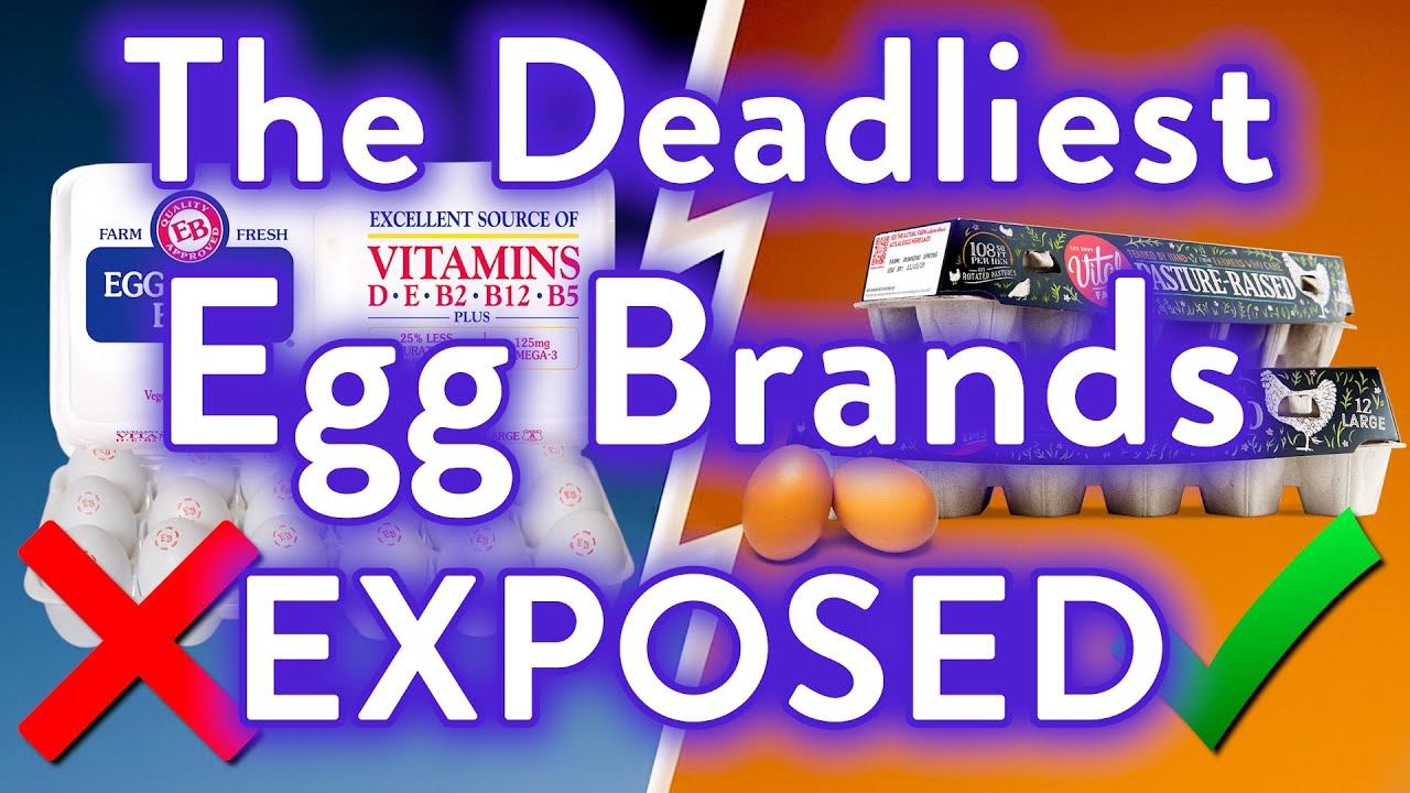 Avoid These 5 EGG Brands All Costs (And 2 That Are Actually Safe to Eat)