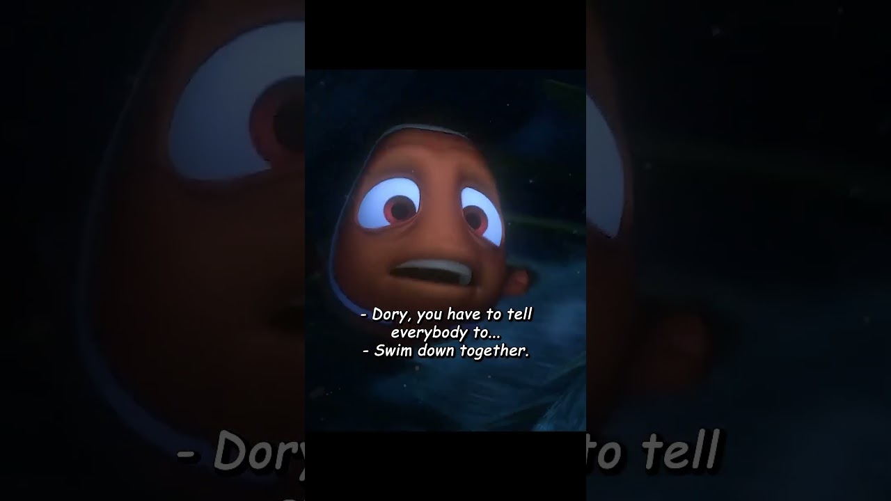 Nemo saved the fishes ||Movie：Finding Nemo