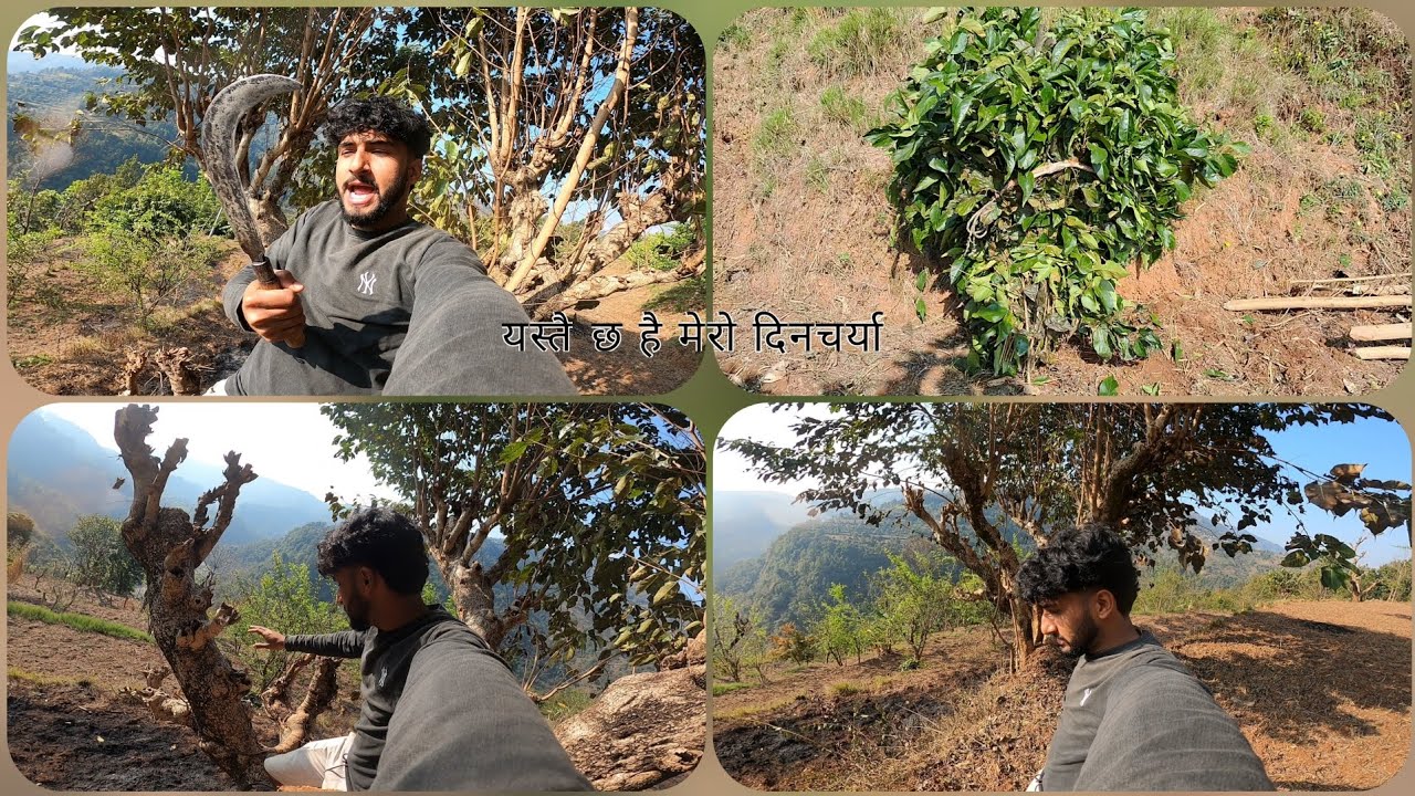 कृषिमा क्रान्ति  है #minivlog #dialyvlog #fypシ #foryou #shortvideo #youtube 