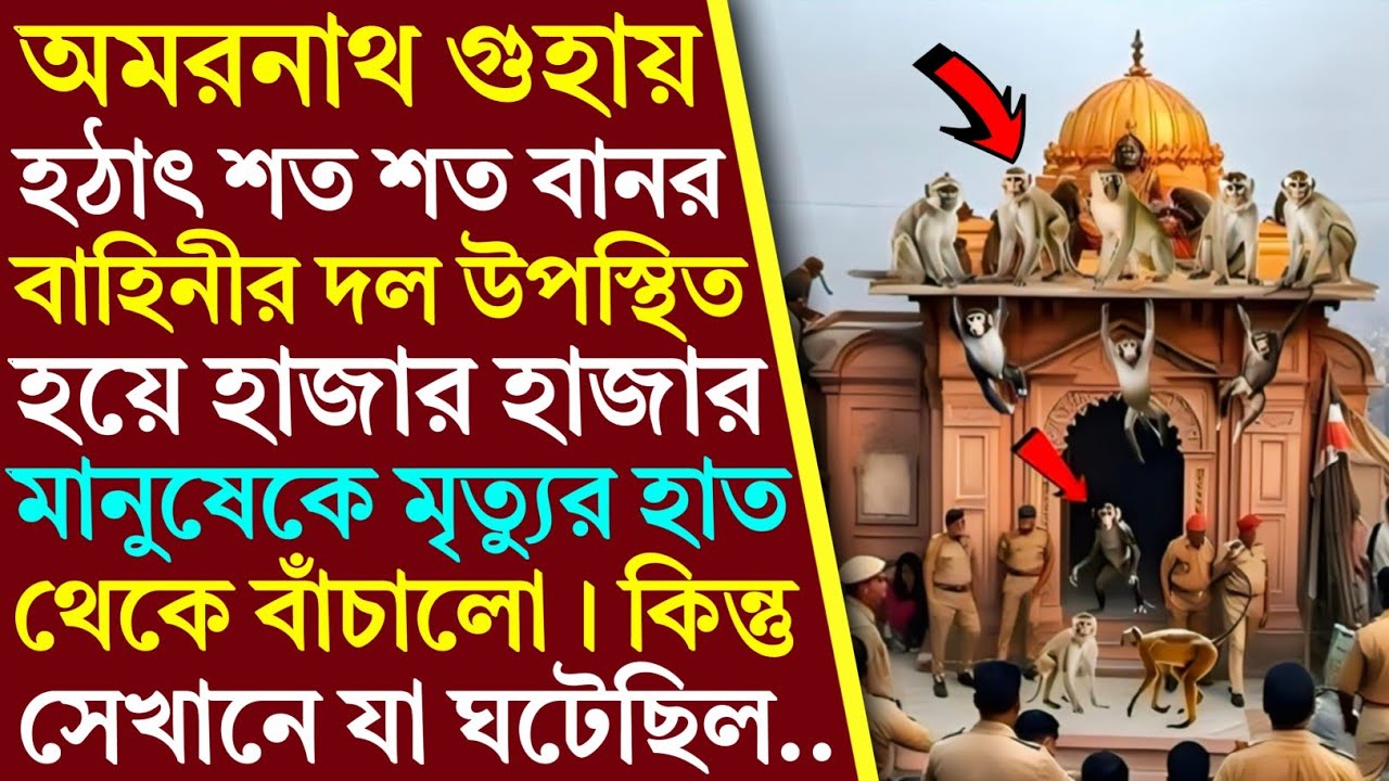 শত শত বানর বাহিনীর দল উপস্থিত হলো অমরনাথ গুহায় এবং হাজার হাজার মানুষেকে মৃত্যুর মুখ থেকে বাঁচালো..