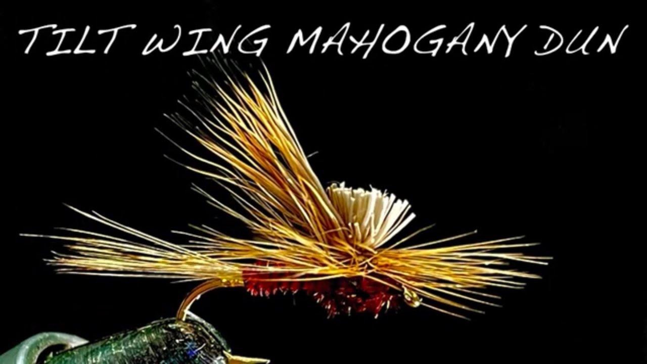 Tying a Tilt Wing Mahogany Dun