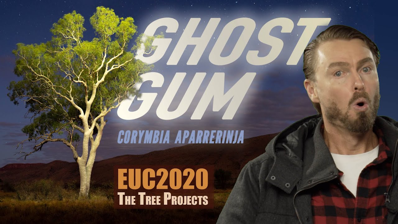EUC2020 - The Ghost Gum