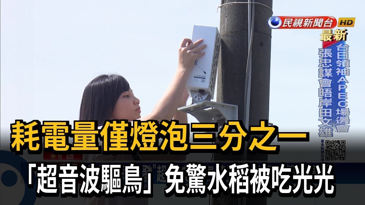 超音波驅鳥！耗電量僅燈泡三分之一　免驚水稻被吃光光－民視新聞